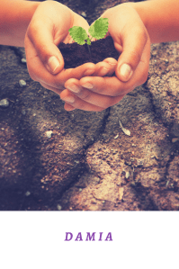 Damia