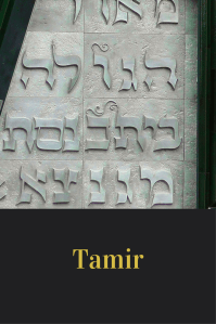 Tamir