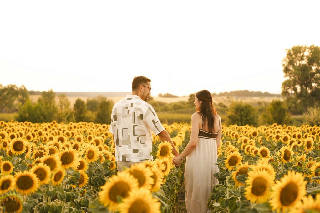 romantic couple walking in sunflower field