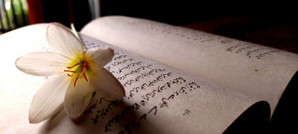 white flower on an open book